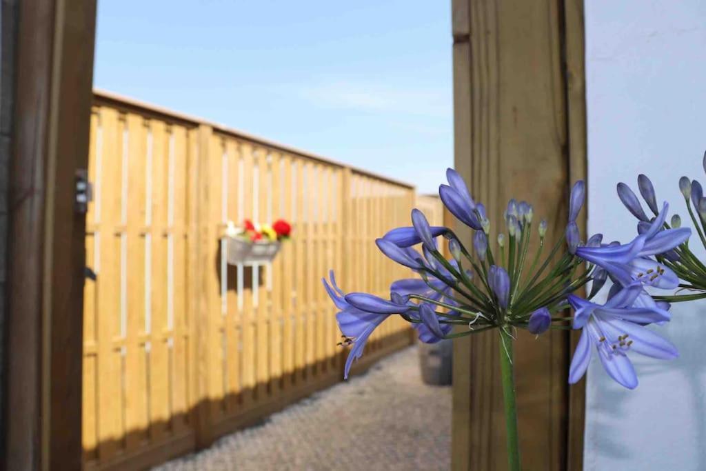 St Agnes Perfect Location, Hot Tub, Sea Views, Gym Apartment Екстериор снимка